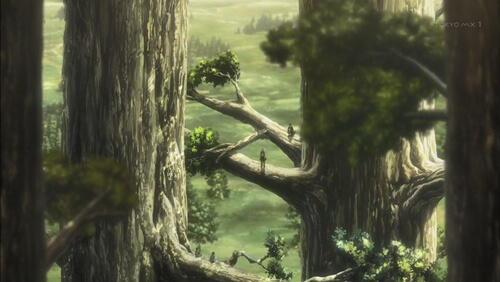 巨大樹の森